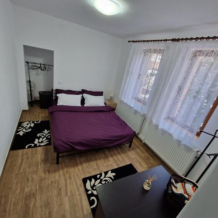 Apartamentul Florilor De Fan Azuga Exterior photo
