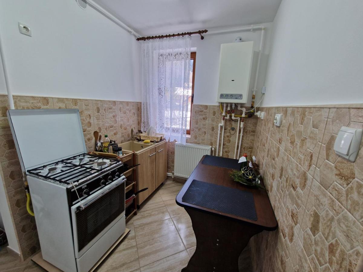 Apartamentul Florilor De Fan Azuga Exterior photo